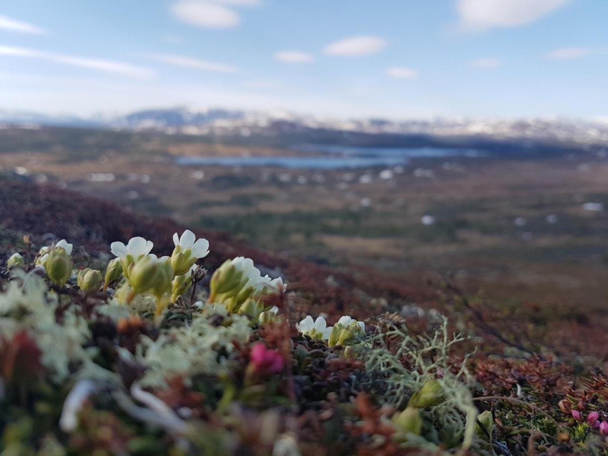 Renfjaellsgarden Hostel Edsasdalen Luaran gambar