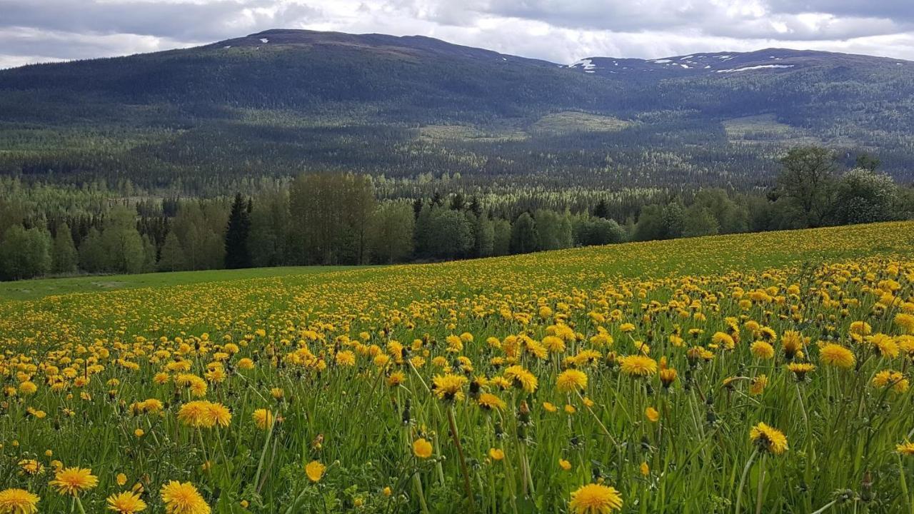 Renfjaellsgarden Hostel Edsasdalen Luaran gambar