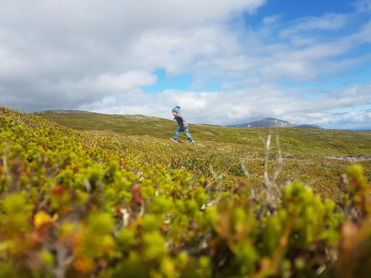 Renfjaellsgarden Hostel Edsasdalen Luaran gambar