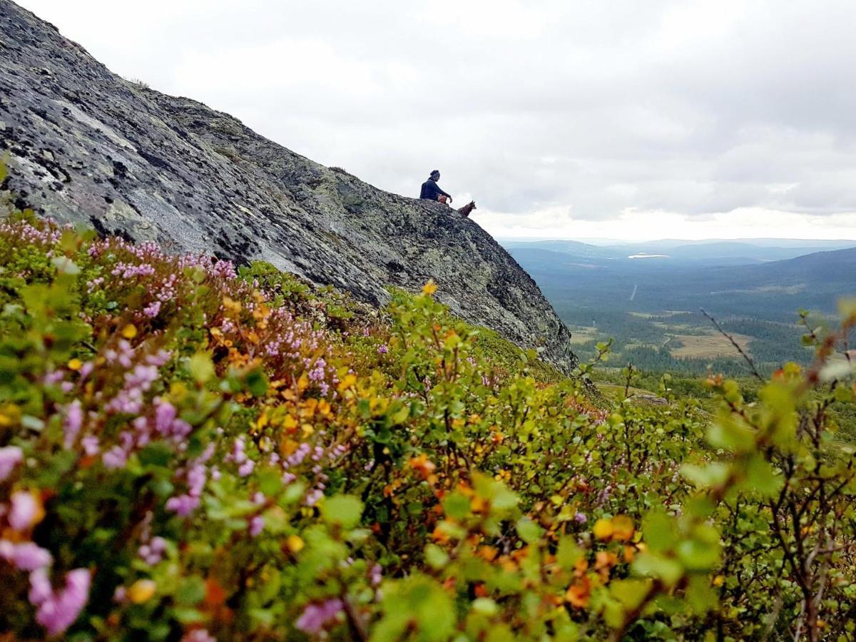 Renfjaellsgarden Hostel Edsasdalen Luaran gambar