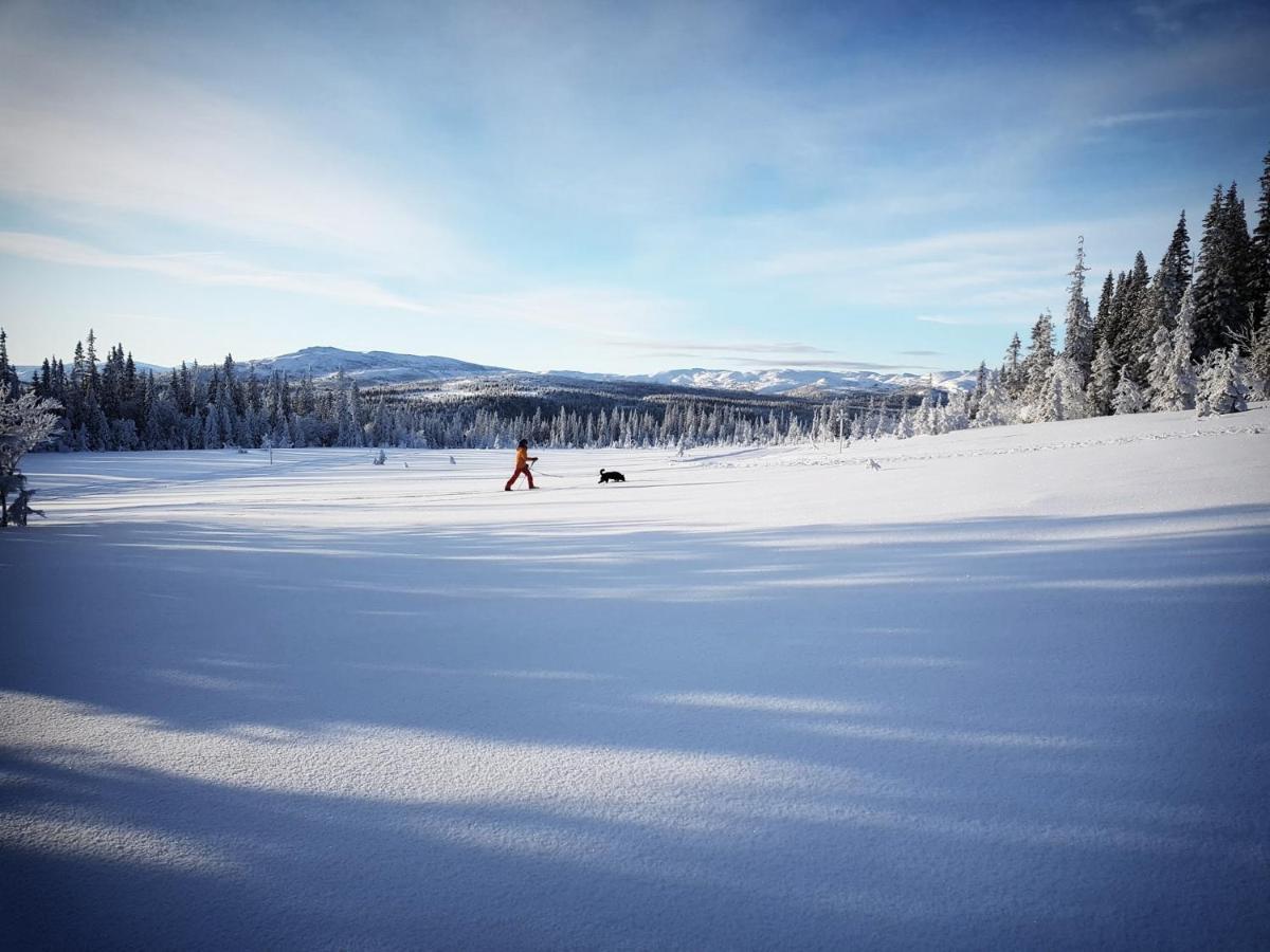 Renfjaellsgarden Hostel Edsasdalen Luaran gambar